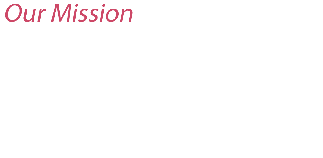 日本最大規模のオンラインシステムを支える社会的使命 「システムの高度安定稼働」が事業運営の基本 RAILWAY INFORMATION SYSTEMS